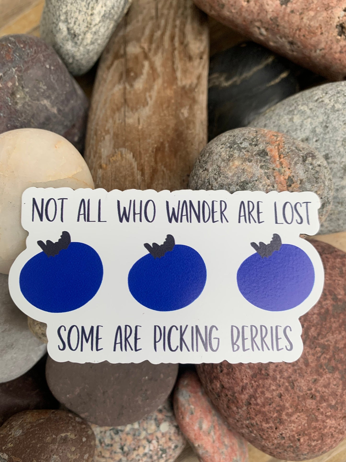 Blueberry vinyl magnet | magnet | Not all who wander | Maine | Michigan | refrigerator magnet | blueberries | picking berries | berry